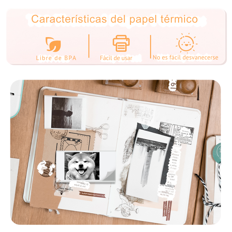 3 Rollos- Papel Térmico para Impresión de bolsillo